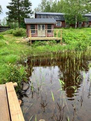 Stuga med egen badstrand, brygga och roddbåt. - Bild 17