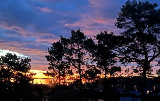 Arkitektritat skärgårdshus med båtplats - Bild 18