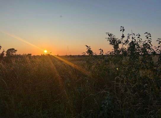 Soluppgång över de kringliggande fälten