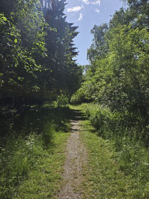 Torö - Skärgårdsparadis - Bild 14