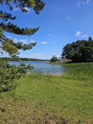 Torö - Skärgårdsparadis - Bild 15
