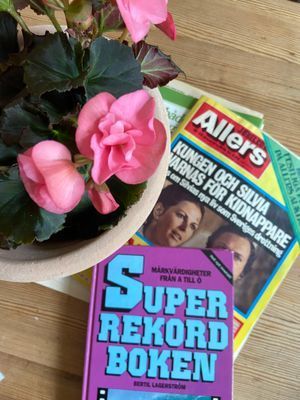 Villa Göran; retrocharm & mys - Bild 23