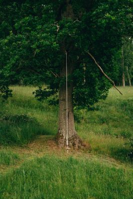 Två stugor i idyllen Orrnäs - Bild 29