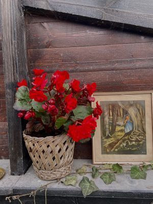Villa Göran; retrocharm & mys - Bild 12