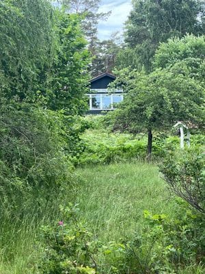 Charmigt skärgårds hus vid havet på vackra Blidö - Bild 20