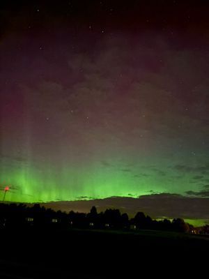 Stuga med sjöutsikt genom trädtopparna - Bild 24