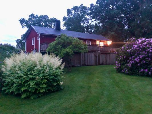 Stuga med sjöutsikt genom trädtopparna