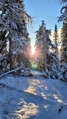 Tomtes Hem - Bild 26