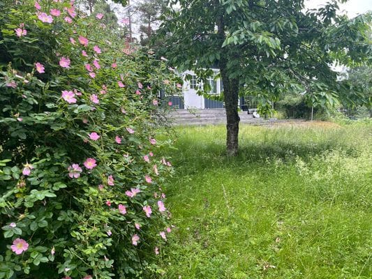 Charmigt skärgårds hus vid havet på vackra Blidö - Bild 25
