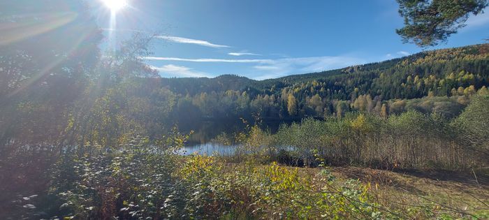 Fritidshuset vid Klarälven