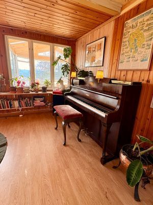 Stuga med sjöutsikt genom trädtopparna - Bild 20