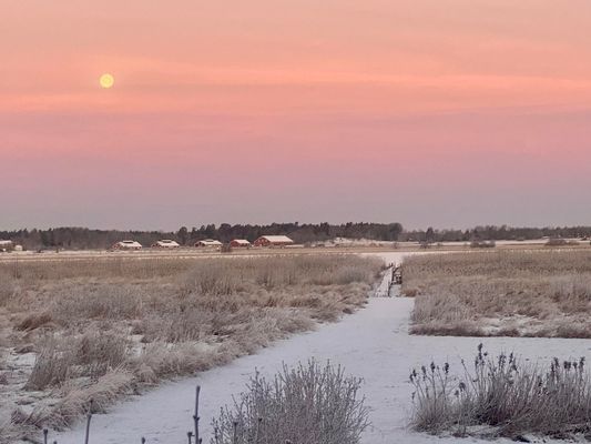Sjötomt med privat brygga, roddbåt & solnedgång - Bild 21