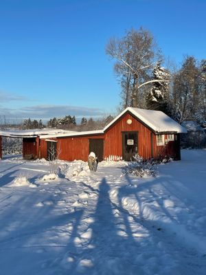 Sjötomt med privat brygga, roddbåt & solnedgång - Bild 22