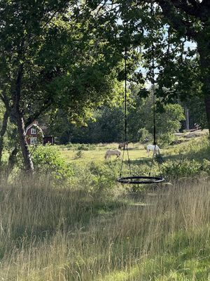 Torö - Skärgårdsstuga - Bild 8