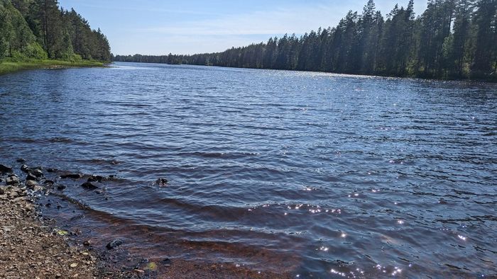 Avskilt torp i skogen – off grid, fiske & stillhet - Bild 16