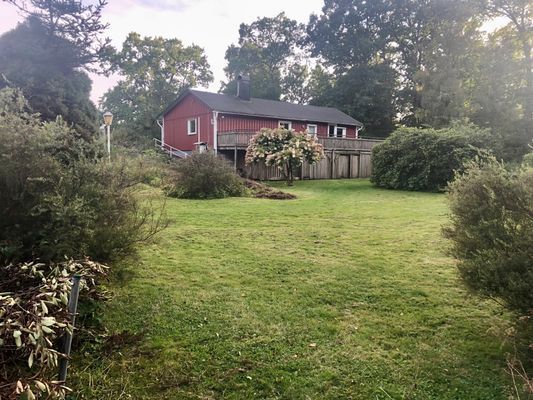 Stuga med sjöutsikt genom trädtopparna - Bild 23