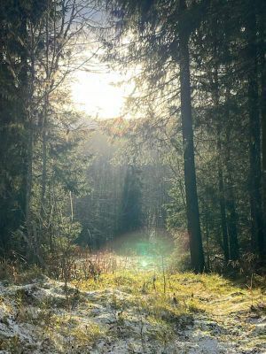 Naturen
