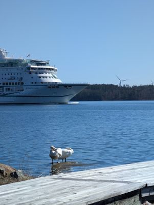 Hus med egen brygga, bastu och sandstrand. - Bild 13