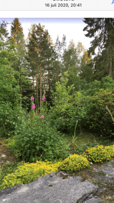 Långtidsuthyrning sommarhus Österåker - Bild 9