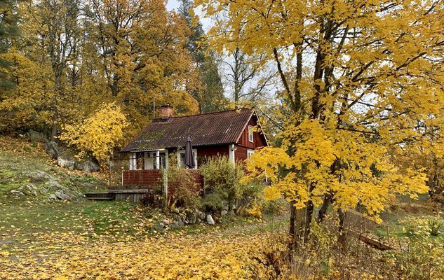 Charmigt torp | Vacker bondgård, nära sjön med båt - Bild 38