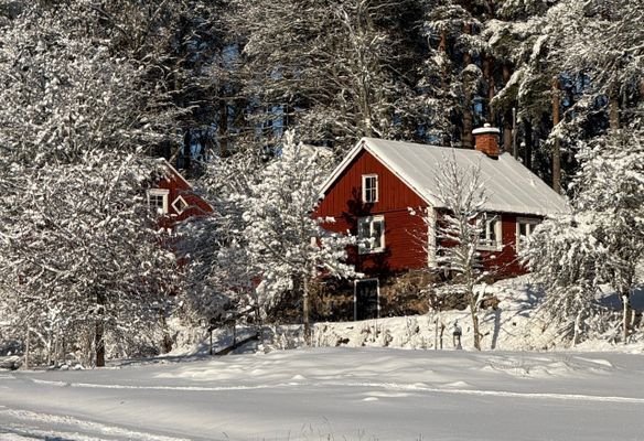 Charmigt torp | Vacker bondgård, nära sjön med båt - Bild 39