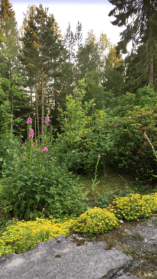Långtidsuthyrning sommarhus Österåker - Bild 11