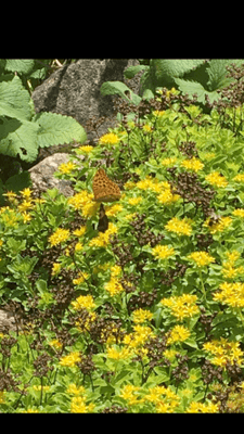 Långtidsuthyrning sommarhus Österåker - Bild 26