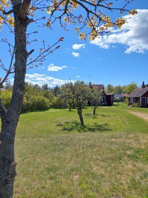 Strandnära villa med lummig trädgård