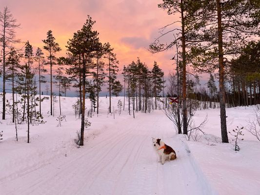 Mysig stuga i Sörsjön - Bild 16