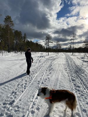 Mysig stuga i Sörsjön - Bild 15
