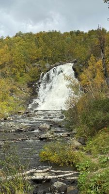 Magisk panorama utsikt (830möh) - söderläge - Bild 30