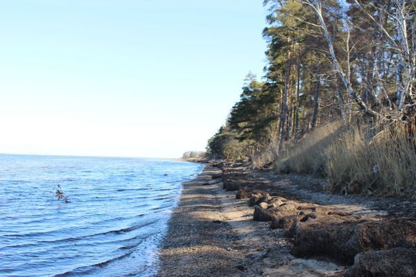 Lilla sommarnöjet - Bild 12