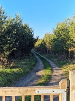 Mysig stuga i naturidyll - Bild 10