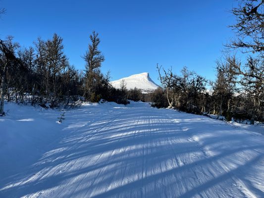 Mysigt Parhus i Bruksvallarna vid skidspår - Bild 26