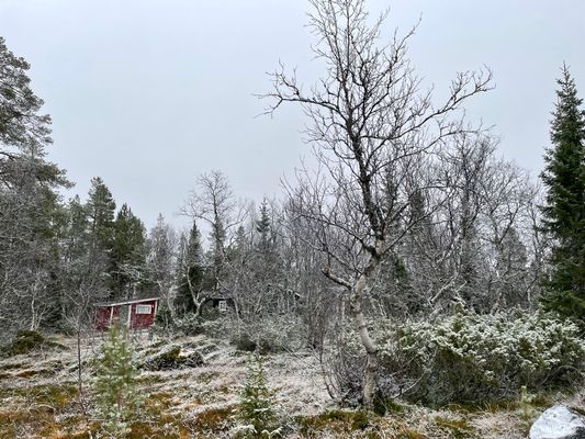 Genuin fjällstuga med skidspår från knuten - Bild 15