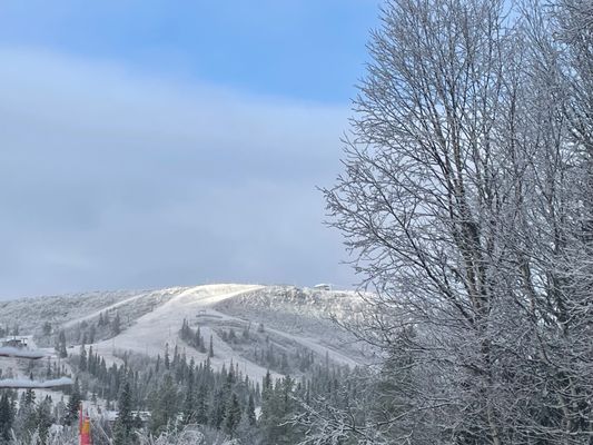 Genuin fjällstuga med skidspår från knuten - Bild 10