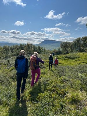 Mysigt Parhus i Bruksvallarna vid skidspår - Bild 29