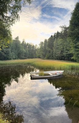 Mysigt lantligt boende med bastu nära Tärnsjö - Bild 15