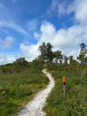 Mysigt Parhus i Bruksvallarna vid skidspår - Bild 33