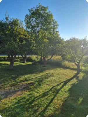 Bild 4 på Villa norra Gotland