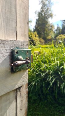 Stort lantligt hus vid skog, sjö och badstrand - Bild 33