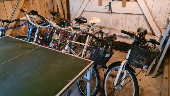 Stort lantligt hus vid skog, sjö och badstrand - Bild 23