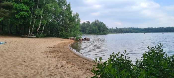Stort lantligt hus vid skog, sjö och badstrand - Bild 36