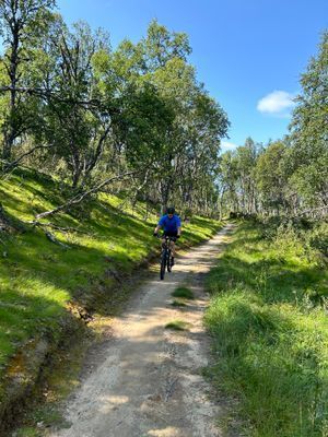 Mysigt Parhus i Bruksvallarna vid skidspår - Bild 32