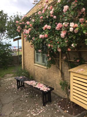 Bild 4 på Havsutsikt i Rammsjöstrand