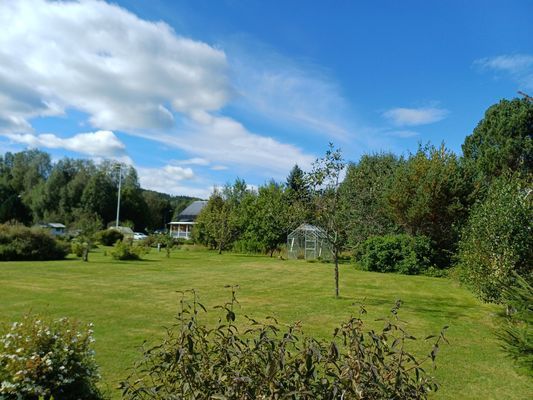 Utsikt över trädgården (södersidan)