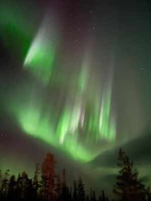 Mysig stuga i lugnare område, närhet till backar - Bild 21