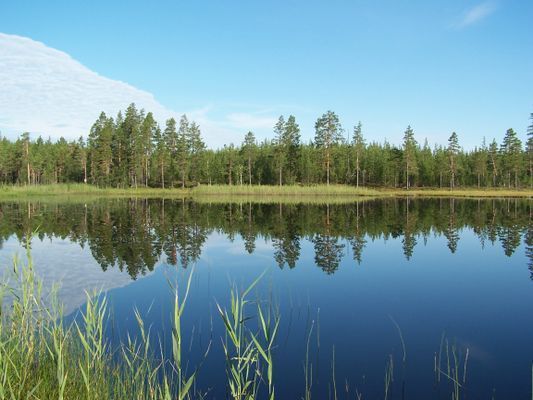 ⭐️ REA-Låga Sommarpriser och Vinter 2026, SÄLEN - Bild 20