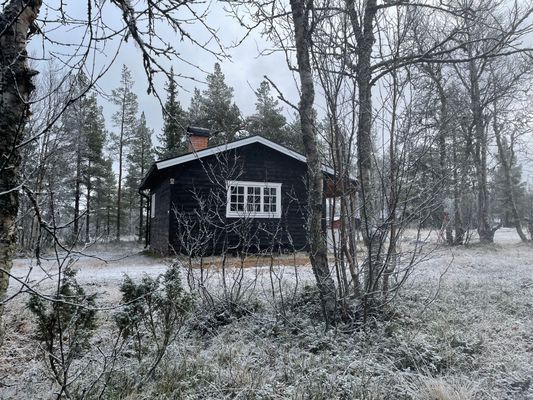 Genuin fjällstuga med skidspår från knuten - Bild 6