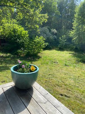 Hus på Väddö Roslagen nära bad
